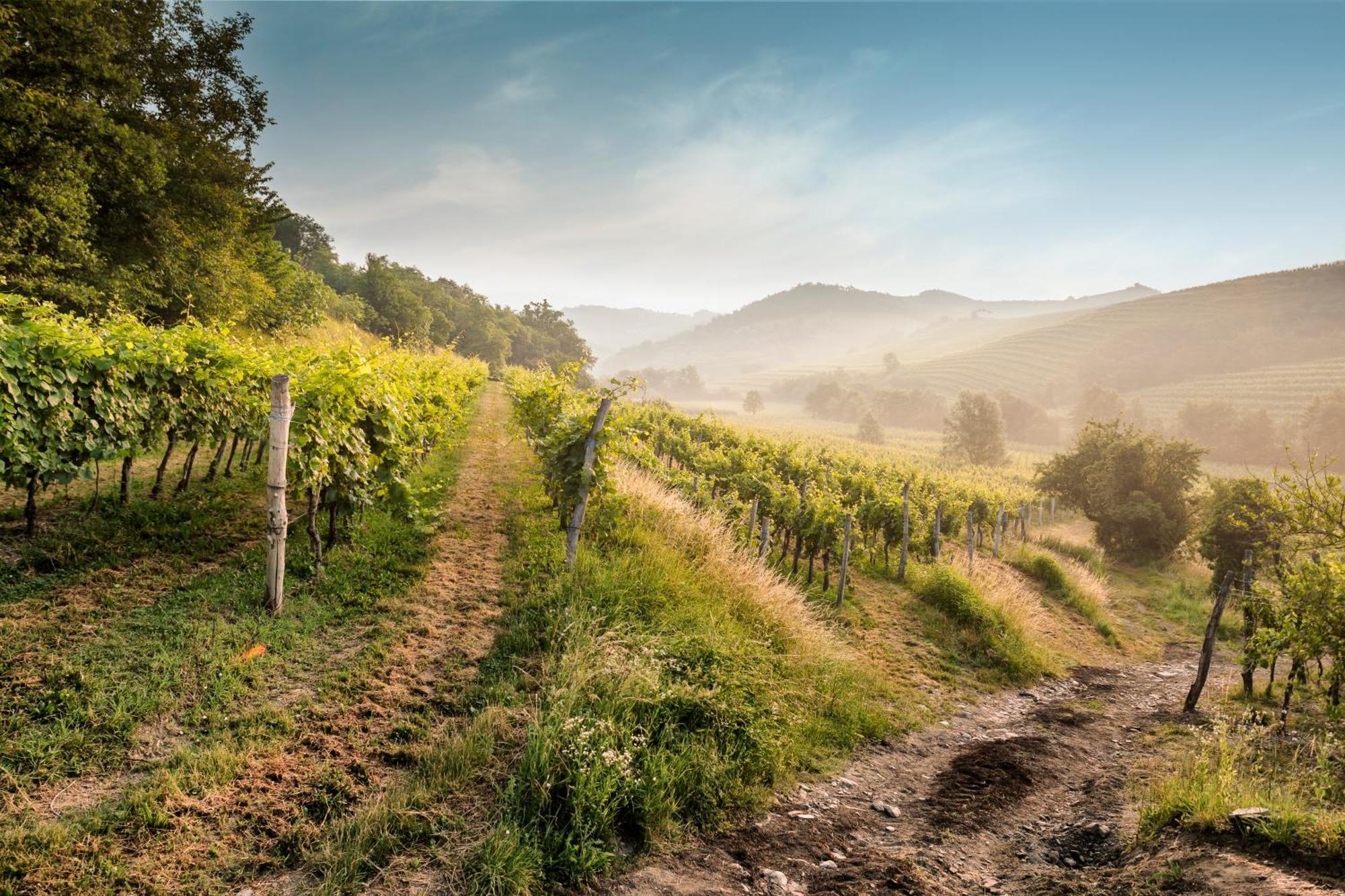 Kabaj Wine & Dine Hotel Dobrovo Kültér fotó